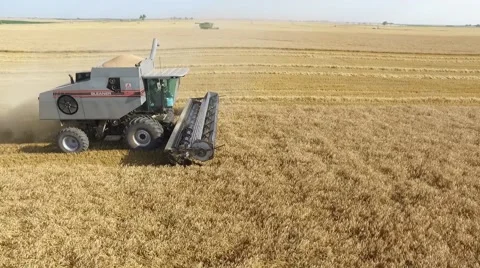 Gleaner Combine Side View - Drone Stock Footage 64978976