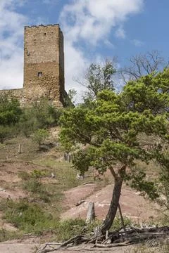 Gleichen Castle, Germany, Thuringia, Thuringian Basin, cultivated landscape, Stock-Fotos