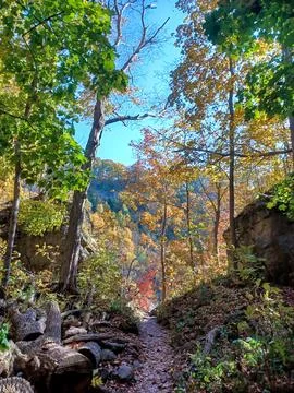 Glen trail forest view Stock Photos
