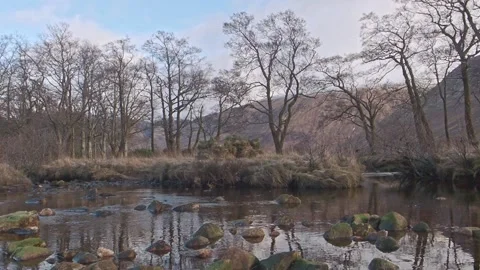 Glencoe, Glen Etive,  River Etive Trees near Loch Etive Stock Footage 231340113
