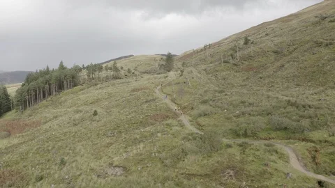 Glencoe Marathon 2018 動画素材 95911909