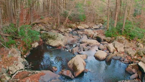 Glendale Falls Massachusetts Forest Stream in Autumn Stock Footage 323973161
