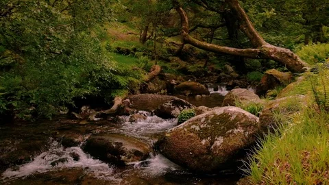 Glendalough creeks Video stock 112635067