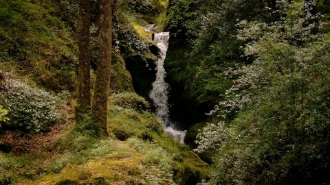 Glendalough creeks Video stock 112635096