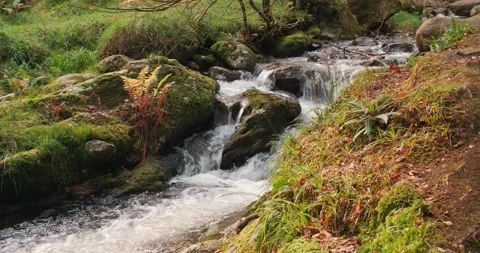 Glendalough creeks Video stock 197066344