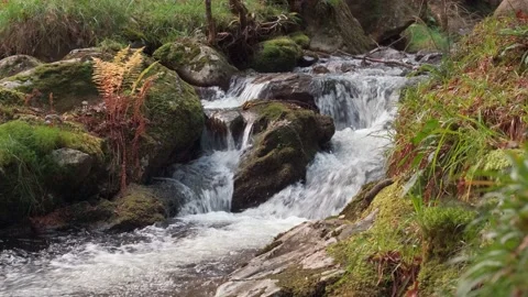 Glendalough creeks Video stock 197066430