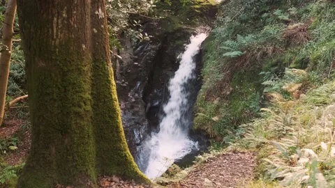 Glendalough creeks Video stock 197066685