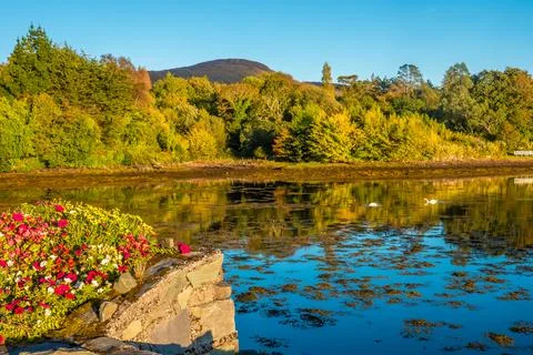 Glengarriff bay, Ring of Beara, County Kerry, Ireland Stock Photos