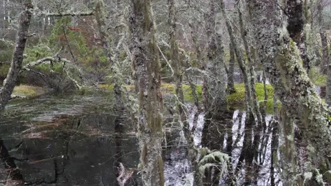Glenmore rain Stock Footage 243825856