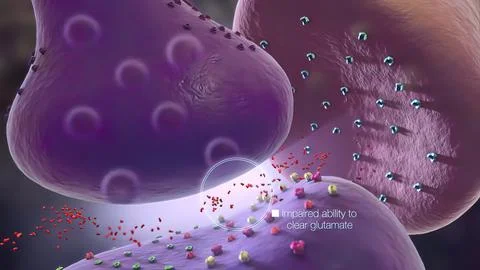 Glial cells of the nervous system release transmitters to release neuronal an Stock Illustration