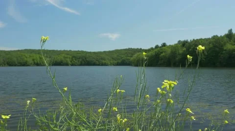 Glide across hillside to view of lake Stock-Footage 57400547