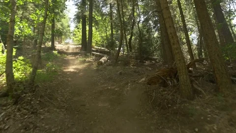 Glide cam shot of two guys mountain biking fast down a hill Video stock 77599842