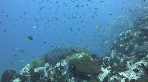 Glide over pinnacle Stock Footage 33073295