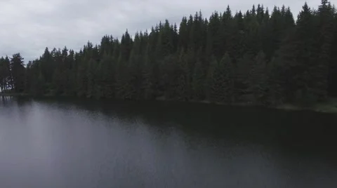 GLIDE PATCH OF WATER PATCH OF TREES AND WATER AGAIN. Stock-Footage 65320740