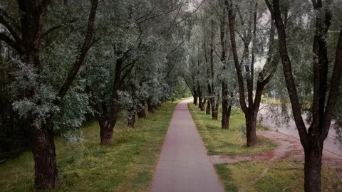 Glide through boulevard Stock Footage 113764176