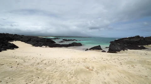 Glidecam on Beach in Galapagos Stock Footage 58354200