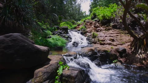 Glidecam up cascading stream Video stock 40218357