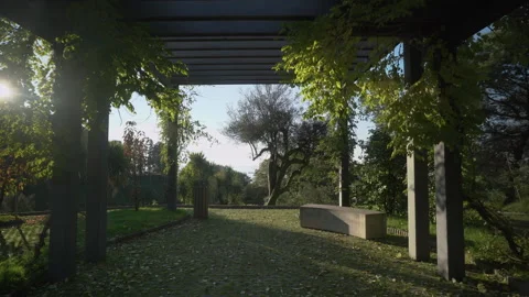 Glidecam in a construction in garden Video stock 231562585