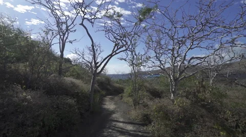 Glidecam Down Trail Towards Beach Stock Footage 58354366