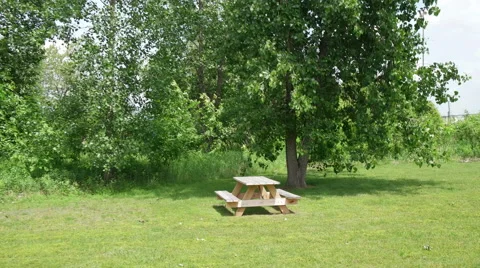 Glidecam shot camera approaching picnic table next to tree Video stock 50945829