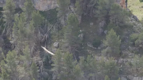 Glider Flying Over Forested Canyon Landscape With Cliffs and Dense Pine Trees Stock Footage 336944759