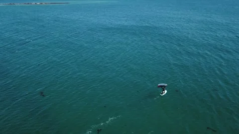 Gliding Across the Ocean Stock Footage 282545055