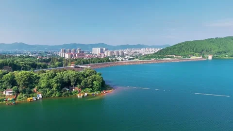 Gliding Along the Forested Lakeshore Stock Footage 340305370