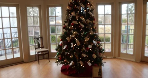 Gliding Approach and Circular Pan of a Christmas Tree in a Sunroom Stock Footage 121541557