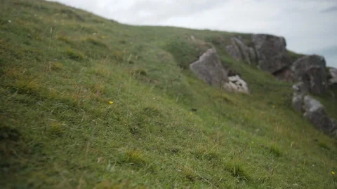 Gliding Beach cliff top grass and rocks Stock Footage 106899984