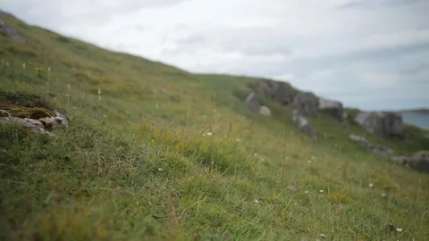 Gliding Beach cliff top grass Stock Footage 106903613