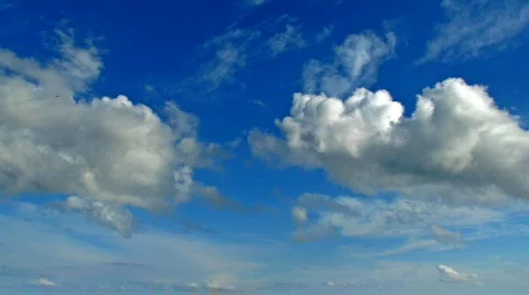 Gliding on the blue Stock Footage 877589