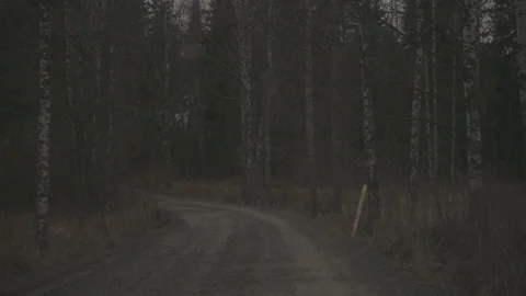 Gliding on the dark road while snowflakes falling 250fps slowmotion Stock Footage 75468996