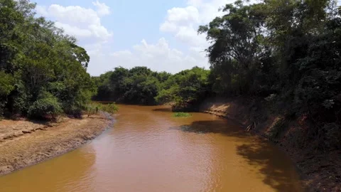 Gliding down Amazon Yacuma River in Bolivian Pampas Stock Footage 132868539