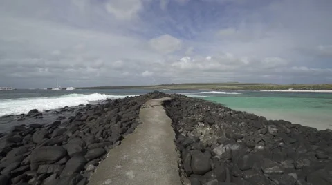 Gliding down Path Stock Footage 58356850