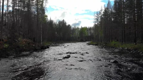 Gliding forward above a flowing river in a dense forest, Gentle rain falls Stock Footage 318195124