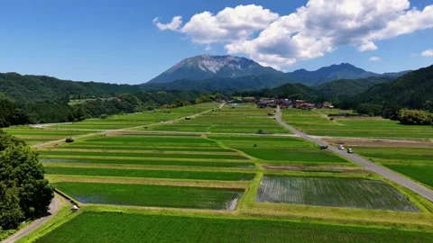 Gliding Forward Over Rice Fields Toward Mount Daisen, Japan Stock Footage 342256120