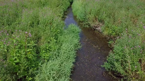 Gliding low angle shot over over small UK river 動画素材 93213808