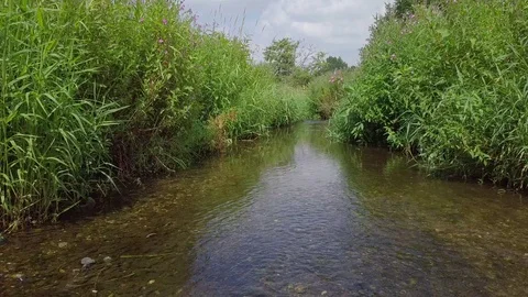 Gliding low shot over River Blythe UK Video stock 93213540