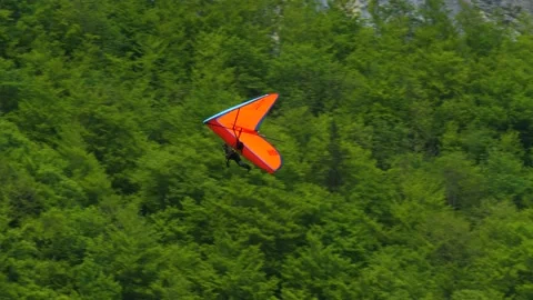 Gliding over a forest in the mountains 動画素材 219400921