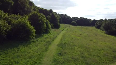 Gliding Over Grass Rising Into Trees 库存影片 235181207