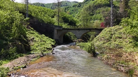 Gliding Over a Green River Toward a Historic Stone Bridge Stock Footage 337623495