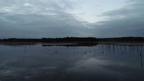 Gliding Over a Pond at Dusk Stock Footage 95334908