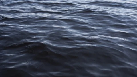 Gliding Over The Water Surface (12-bit RAW) Stock Footage 96587701