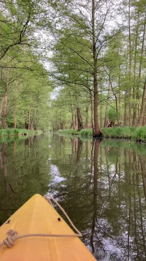 Gliding with a paddle boat Spree forest Germany Stock Footage 340884948