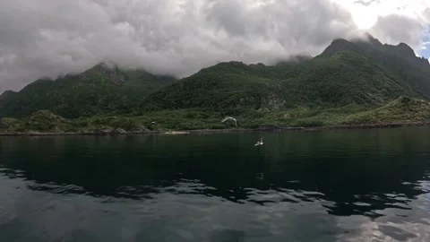 Gliding seagull over calm dark fjord with foggy mountains Lofoten Stock-Footage 344453100