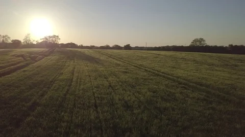 Gliding shot across a field with rays of light from setting sun Video stock 98824906