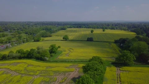 Gliding shot over rapeseed fields and M42 motorway in Solihull, West Midlands Stock Footage