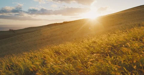 Gliding towards the sunset Stock Footage 125796627