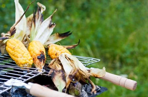 Glilled corn Stock Photos