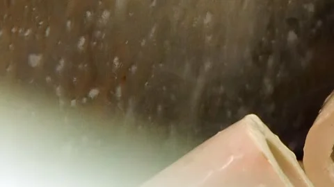 Glimmering Bubbles Perform Vital Air Cleansing in a Hydro Filter Stock Footage 341066971